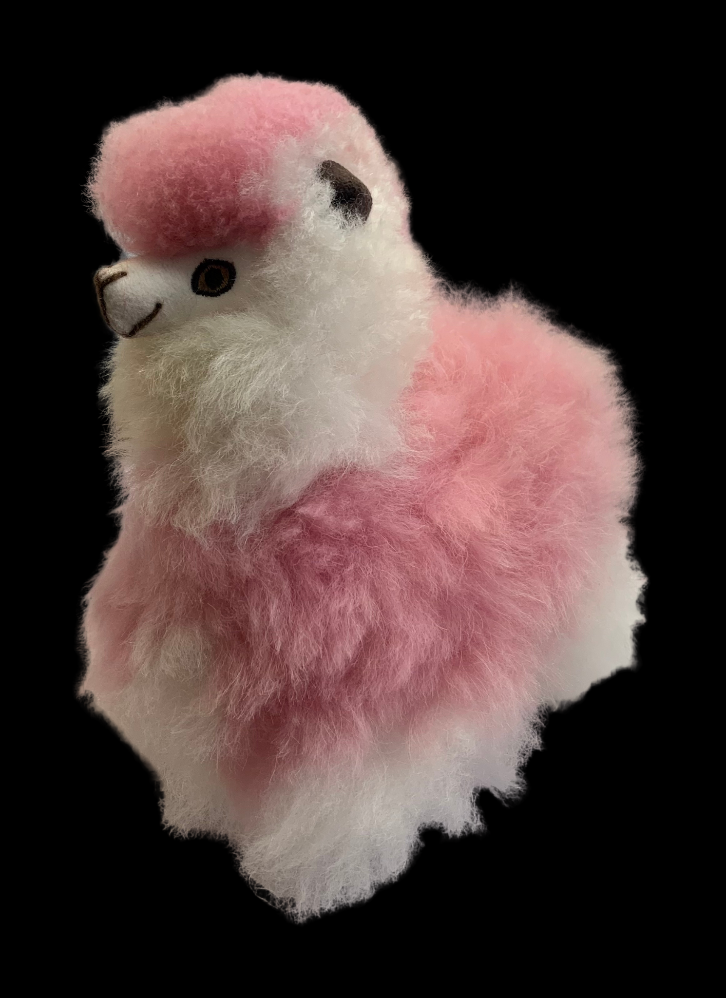 8 Inch Multi Colored Alpacas – Alpaca Connection Wholesale