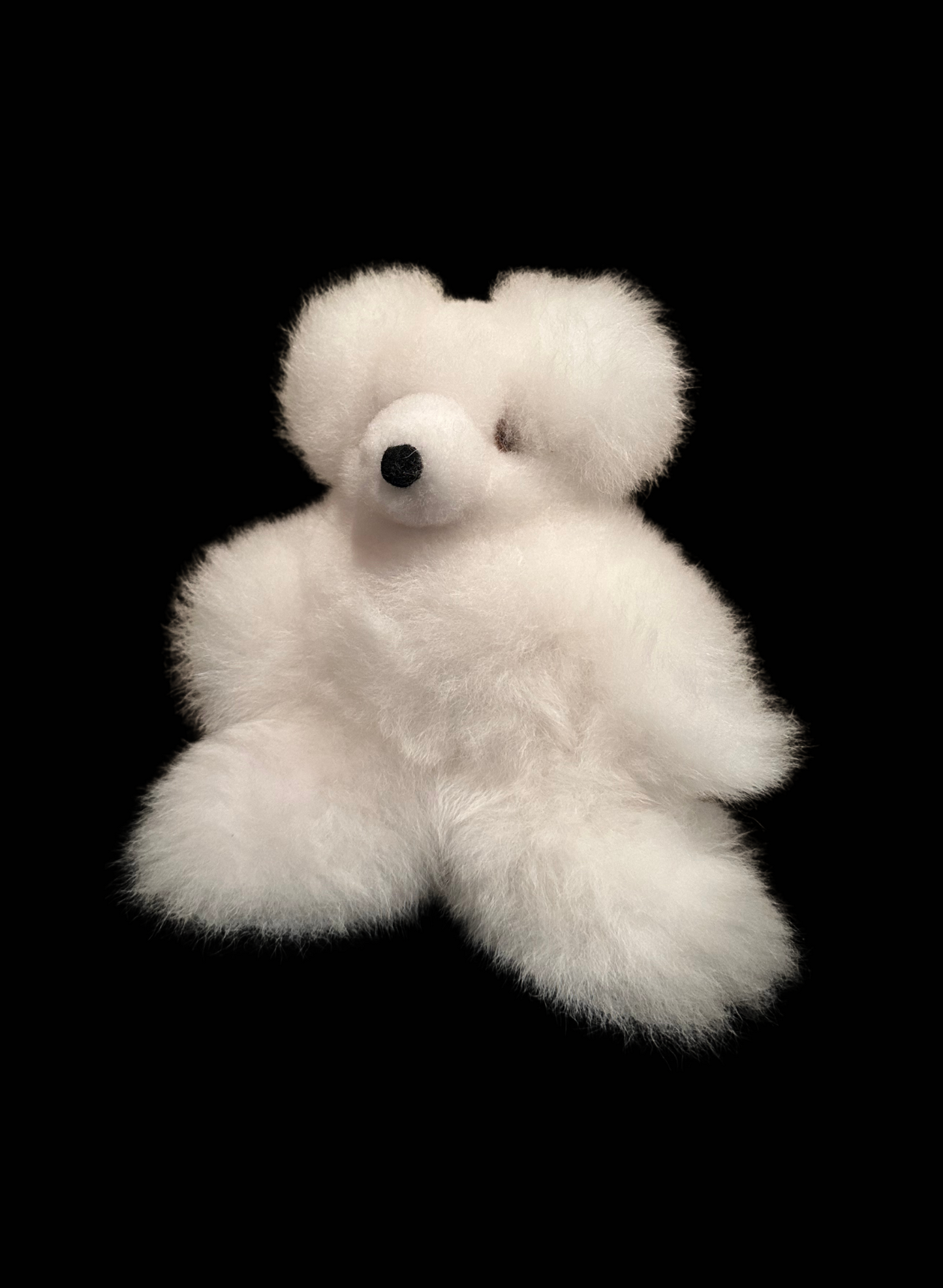 8 Inch Teddy Bears