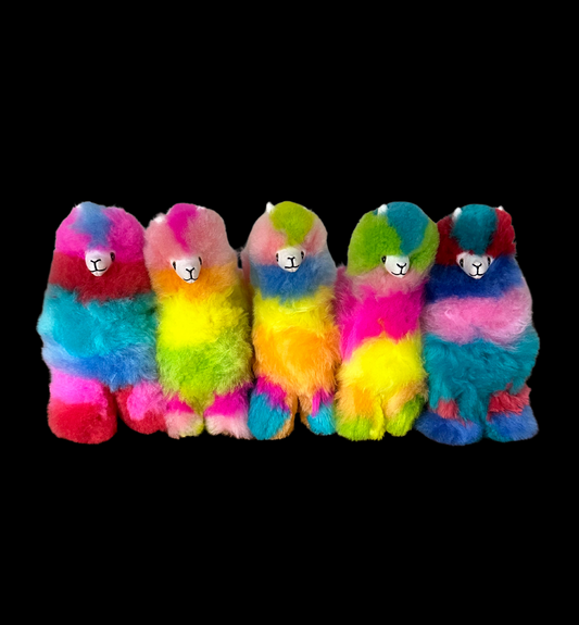 8 Inch Alpacas Rainbow (5pack)